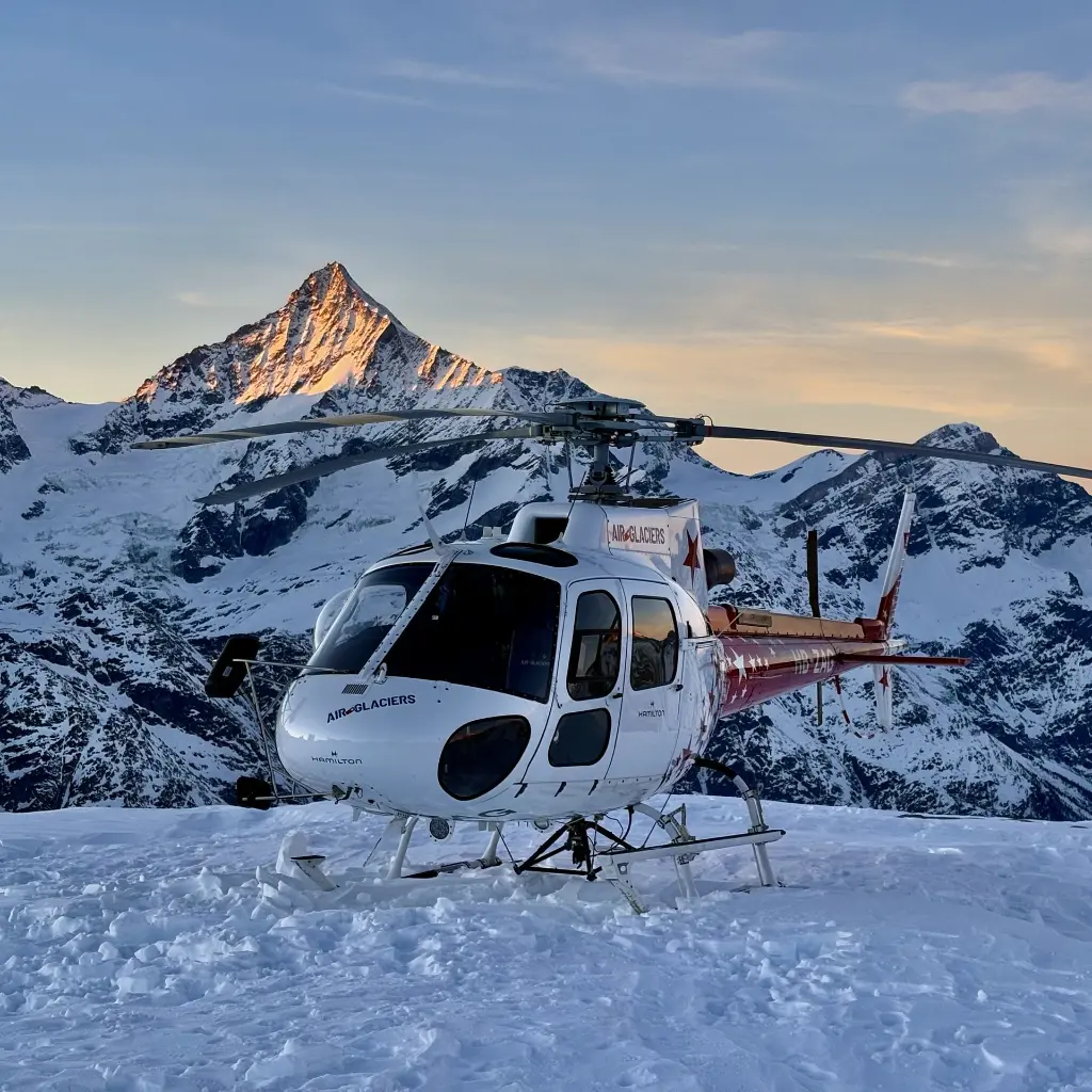 IMG_0375 QUADRAT.webp